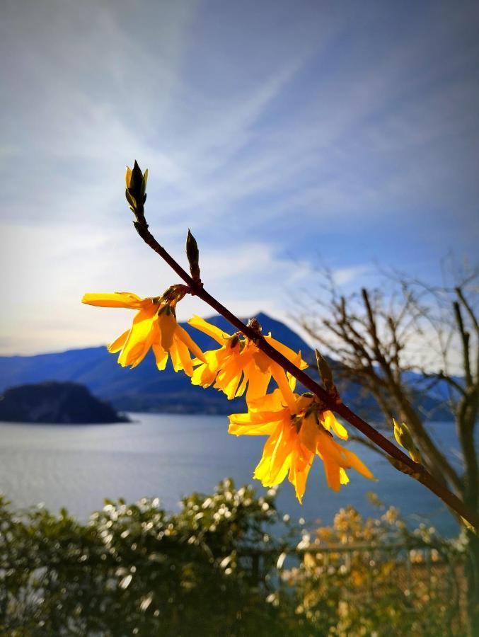 Ortensia Lake Como Varenna Exterior foto